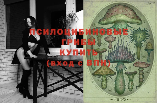 прущие крисы Алзамай